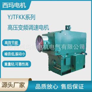 西安电机YJTF800 8极2500W6V高压变频三相异步电动机厂