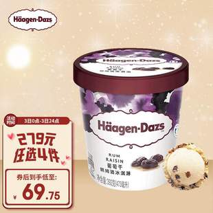 哈根达斯 冰淇淋葡萄朗姆酒口味大杯473ml京东冷 HaagenDazs