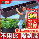 种植箱家庭阳台蔬菜专用菜盆种菜神器楼顶长方形塑料花盆特大花箱