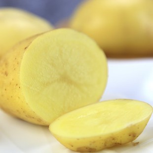 黄皮土豆3斤150g 果园精选