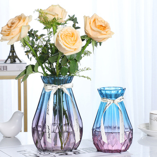 创意简约透明玻璃花瓶水培绿萝植物风信子插花瓶客厅装 饰摆件