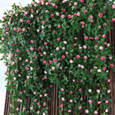 仿真玫瑰花藤条塑料假花藤蔓植物空调管道装 饰花遮挡摆设吊顶墙面