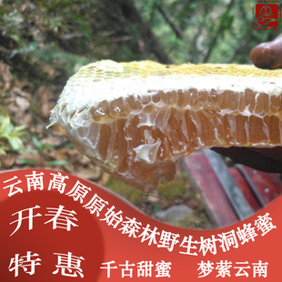 云南丽江高原原始森林野生树洞蜂蜜 纯天然无喂养无添加