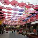 中国风油纸伞户外防雨防晒绸布伞装 饰吊顶伞可加伞灯复古舞蹈伞