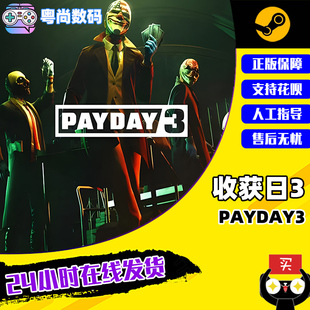 PC正版 收获日3 国区激活码 steam游戏 角色扮演 中文 PAYDAY3 合作 射击
