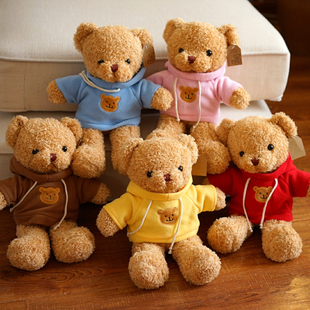 可爱卫衣小熊公仔泰迪熊玩偶毛绒玩具抱抱熊抱枕送女生礼品娃娃