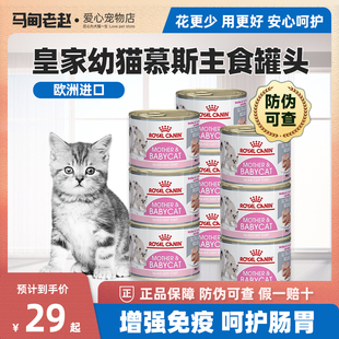 皇家奶糕罐头幼猫奶糕主食猫罐头营养增肥24罐整箱进口主食猫罐头