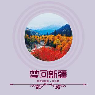 专辑 正版 CD唱片 梦回新疆 星外星音像专营 新歌唱新疆·思乡篇
