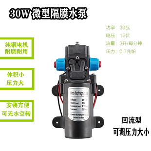 微型水泵12V微型水泵压力微型增压 浇花喷雾 喷雾降温降尘水泵
