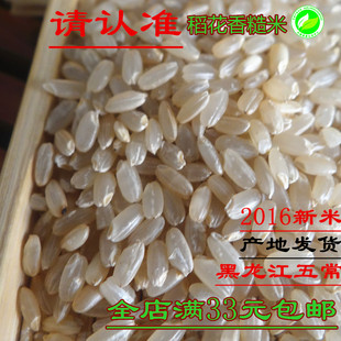 2023东北五常稻花香 糙米糙大米玄米营养农家胚芽可发芽新米250克