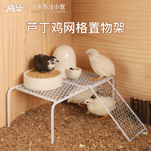 芦丁鸡造景平台放喂食器水壶爬梯卢丁鸡饲养用品网格置物架子