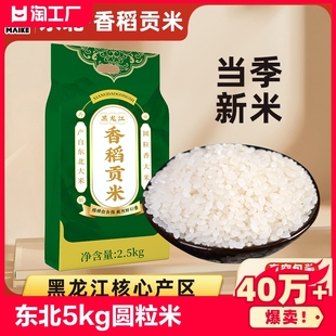 新米东北大米5kg珍珠米真空包装 黑龙江圆粒贡米10斤粳米
