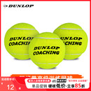 Dunlop邓禄普网球COACHING无压球耐磨耐打初学者练习专业比赛训练