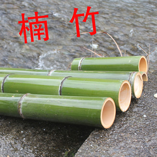 现砍竹子 新鲜楠竹竹筒 3毛钱一节 竹子原材料 DIY手工竹