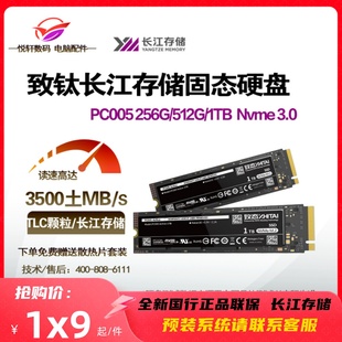 SC001 SSD固态硬盘NVME台式 致钛 致态 PC005 256G 机笔记本 512GB