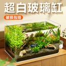 yee超白玻璃热弯鱼缸桌面小型水族箱客厅水草造景鱼生态乌龟裸缸