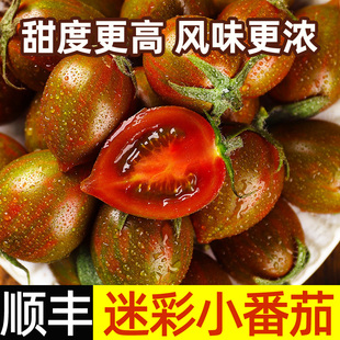 迷彩小番茄圣女果新鲜小西红柿子非海南千禧铁皮生吃水果蔬菜5斤