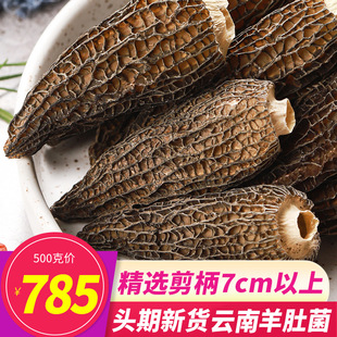 7cm以上剪柄特级羊肚菌500g干货云南特产野生新鲜煲汤食材蘑菇类