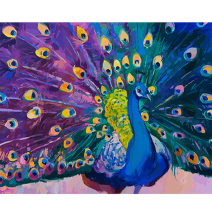 DIY数字油画 抽象填色油画24小时发货家居饰品淡紫色孔雀 包邮
