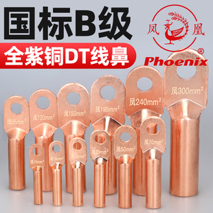 凤凰DT国标A级加厚铜鼻子铜接线端子纯铜接头镀锡线耳DT 10厂家