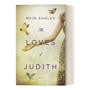 朱迪斯 爱人们 英文原版 The Shalev Judith 英文版 Loves 女性小说 进口英语原版 书籍 Meir