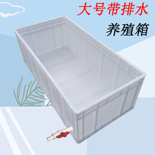 超大号养殖箱塑料乌龟缸龟箱长方形周转箱水族箱养龟养鱼鱼缸箱子