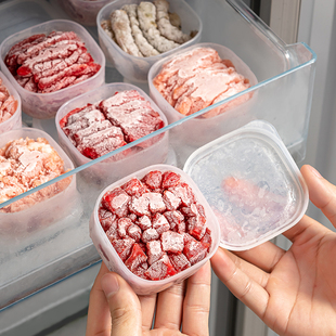 日本进口冰箱专用冻肉盒抗菌冷冻收纳盒密封分格葱姜蒜分装 备菜盒
