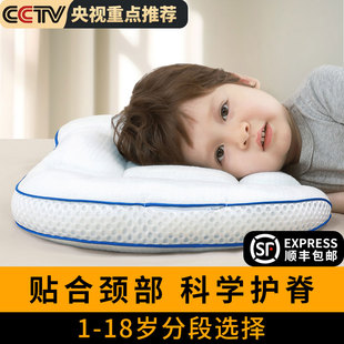 儿童枕头大尺寸纯棉a类3岁整头6岁以上5夏季 护脊护颈睡觉三岁专用