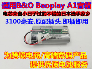 适用B&O Beoplay 7.2V P6无线蓝牙便携音箱电池