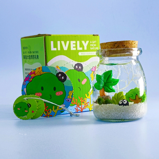 海藻球微景观生态瓶水培球藻创意迷你植物桌面玻璃瓶盆栽礼物 包邮