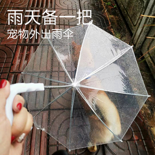 遛狗伞宠物狗狗雨伞泰迪博美柯基比熊犬雨天外出便携雨伞透明雨衣