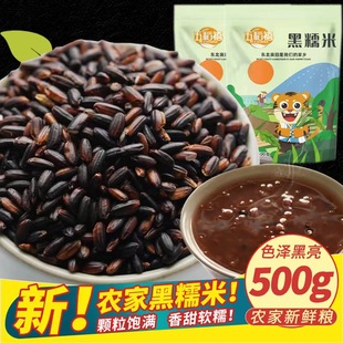 东北黑糯米血糯米正宗农家自种黑米粥粽子饭团商用新米粗杂粮500g
