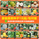 盆栽小西瓜8424冰糖麒麟种子孑羊角脆绿宝石白甜瓜黄瓜苦瓜蔬菜籽