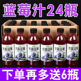 新品 花青素护视力学生常备果味 促销 蓝莓汁饮料整箱310ml瓶装