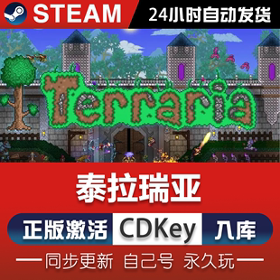 泰拉瑞亚steam正版 入库PC中文游戏支持在线联机Terraria cdk激活码