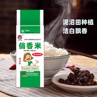 2024年京和俏香米500g京山籼米长粒香米 赠品标