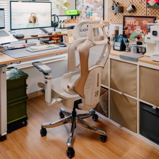 泰克堡垒人体工学椅电脑椅办公座椅子舒服久坐靠背椅家用电脑椅子