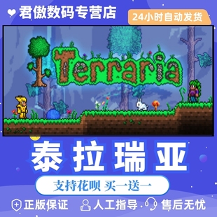 游戏 Steam Terraria 白号 泰拉瑞亚 阿根廷礼物 PC正版 沙盒 联机游戏 成品号 国区礼物