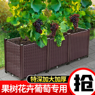 葡萄种植箱阳台种菜专用花箱户外加深长方形花盆种树楼顶花槽塑料