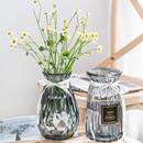 两件套 客厅插花摆件 北欧玻璃小花瓶透明彩色水培植物干花欧式