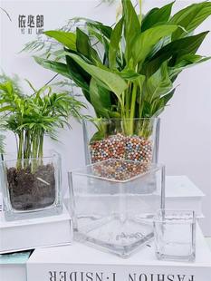 水培花盆器皿郁金香风信子透明玻璃方缸水养植物创意花瓶绿萝白掌