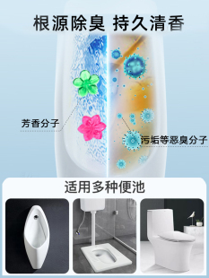 男厕所小便池器斗除臭芳香球洁厕球卫生间去味球樟脑丸卫生球小花
