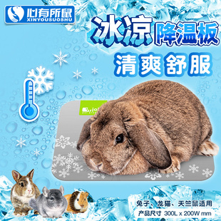 Jolly兔子降温板铝合金消暑散热板兔兔龙猫豚鼠荷兰猪天竺鼠冰板