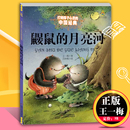王一梅著 鼹鼠 童话故事书 经典 中国经典 15岁儿童文学少儿三四五六年级小学生课外阅读读物故事打动孩子心灵 月亮河 童话