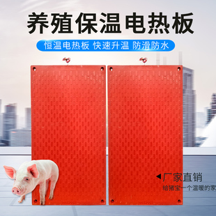 母猪产床保育床仔猪小猪羊狗宠物保温板炭纤维复合防水发热电热板